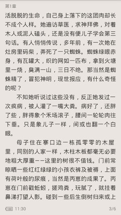 爱游戏官网罗马赞助商